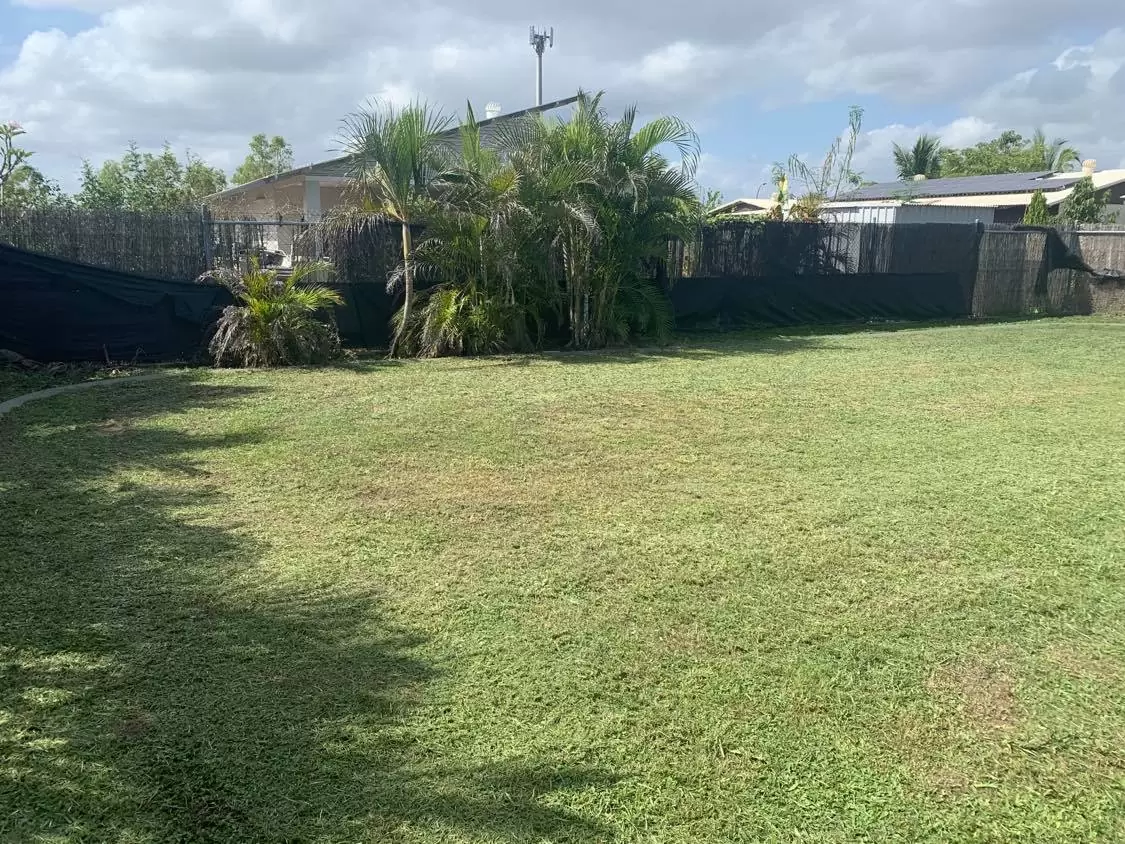 Essential Tips Before Lawn Mowing